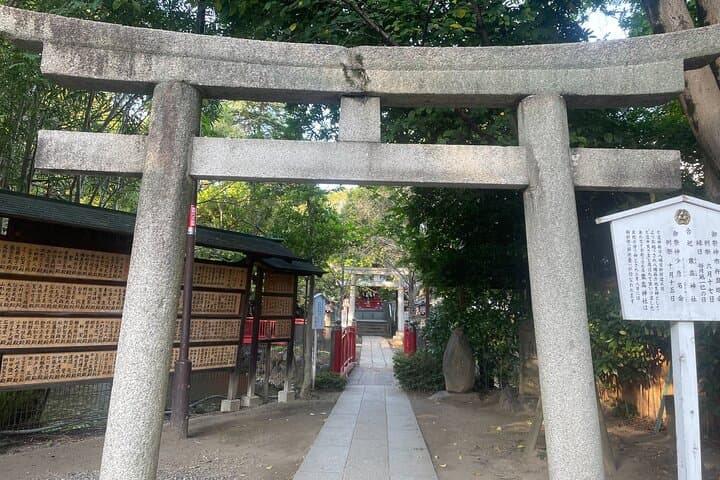 Tokyo: Taste the downtown echo and enjoy Japanese culture — photo 10