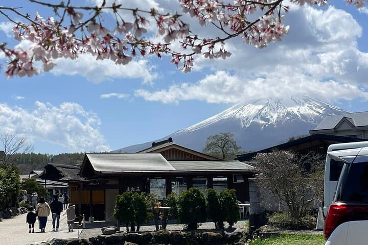Mt fuji & Hakone customizable day tour w/ English speaking driver — photo 11