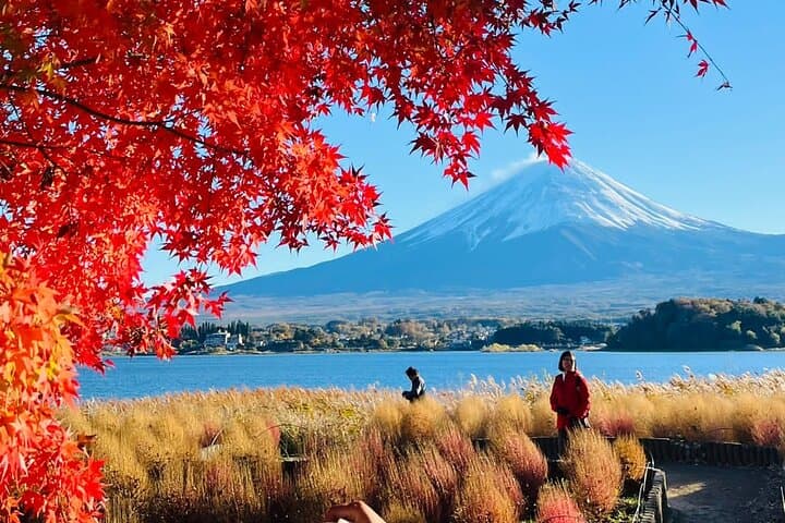 Mt fuji & Hakone customizable day tour w/ English speaking driver — photo 12