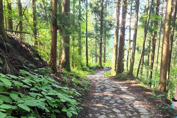 Nakasendo Samurai Trail Tour — photo 2