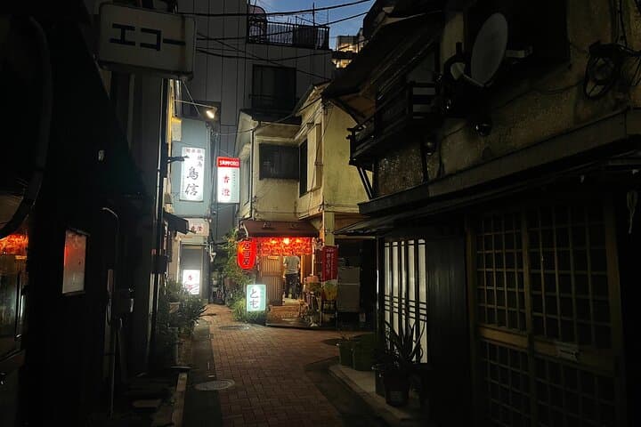 Tokyo:A cultural journey and a little bar hopping in izakaya — photo 11