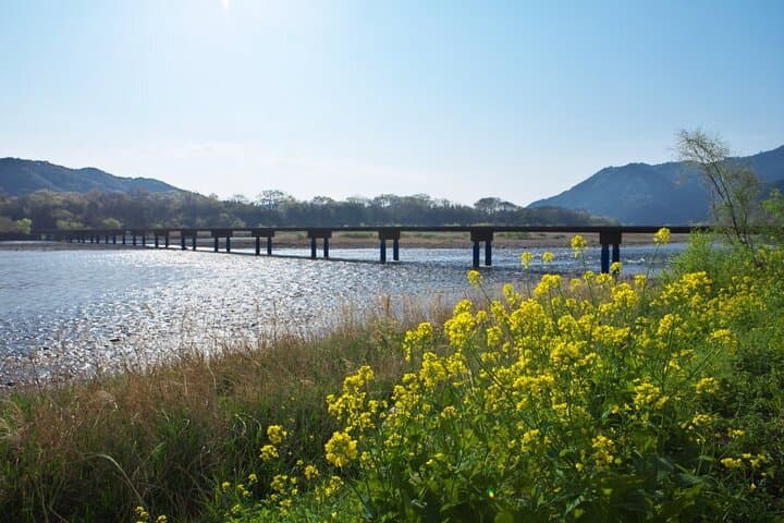 8 Day Private One Way Bus Tour to Fukuoka from Osaka via Shikoku — photo 9
