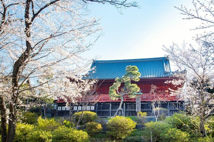 Ueno Park&Tokyo National Museum Private Tour (Ukiyo-e focus) — photo 8