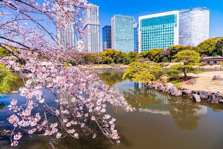 Hama-rikyu Gardens Walking Tour with Matcha& Japanese Sweets — photo 1