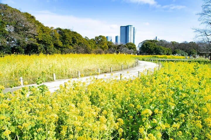 Hama-rikyu Gardens Walking Tour with Matcha& Japanese Sweets — photo 5