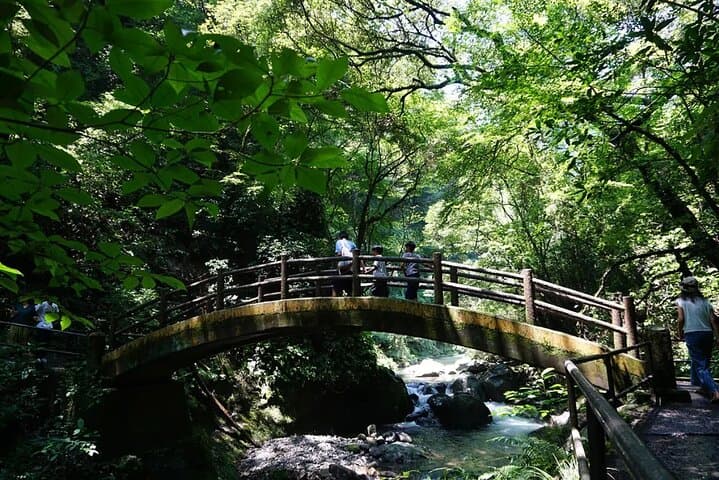 Kyushu Kamishiromi Shrine, Amano Iwato, and Takachiho Gorge Tour — photo 3