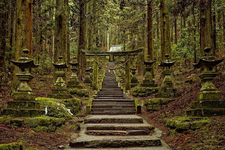 Kumanozu Shrine Takachiho Gorge and Amano Iwato Tour from Fukuoka — photo 3