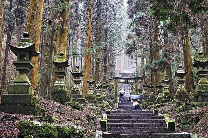 Kyushu Kamishiromi Shrine, Amano Iwato, and Takachiho Gorge Tour — photo 7