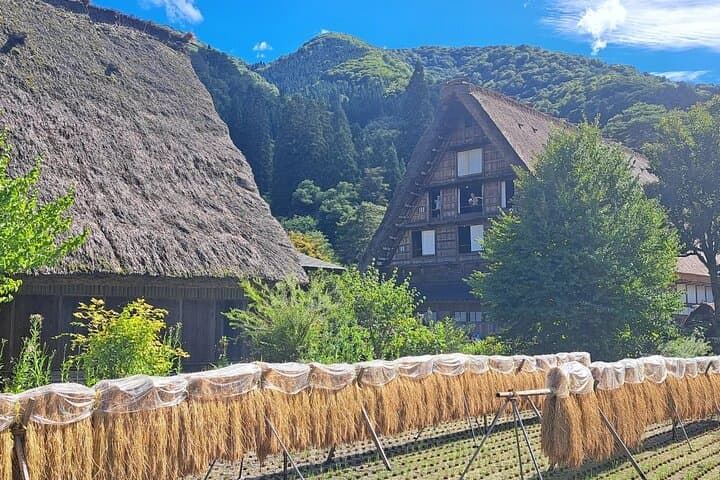 1-Day Shirakawago & Takayama Tour (Round Trip from Kanazawa) — photo 14
