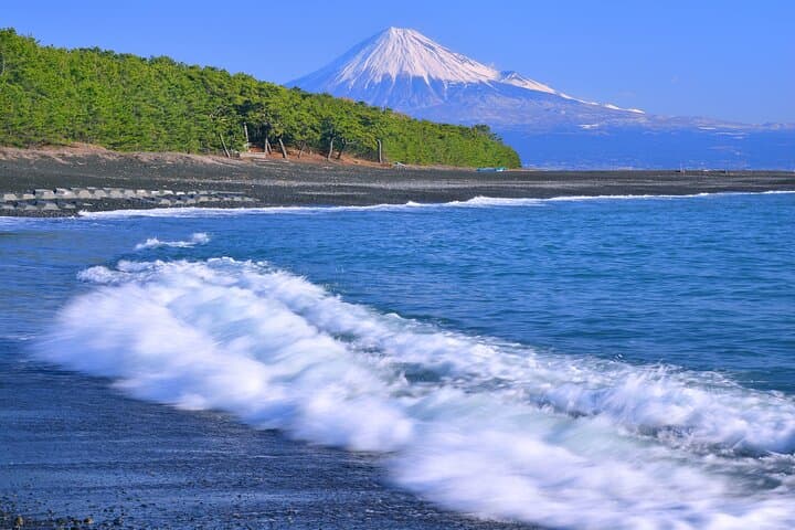 Step-Free easy going tour from Shimizu Port / Small bus — photo 2