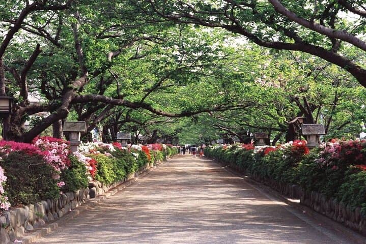 Walk & Drive - KAMAKURA DEEP TOUR see more w/ a certified guide — photo 14