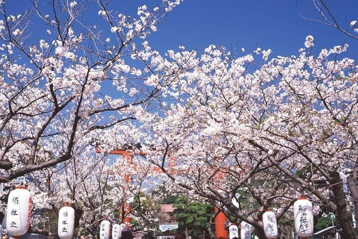 Walk & Drive - KAMAKURA DEEP TOUR see more w/ a certified guide — photo 15