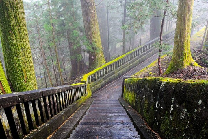 Nikko Private Sightseeing Customized English Day Tour — photo 2