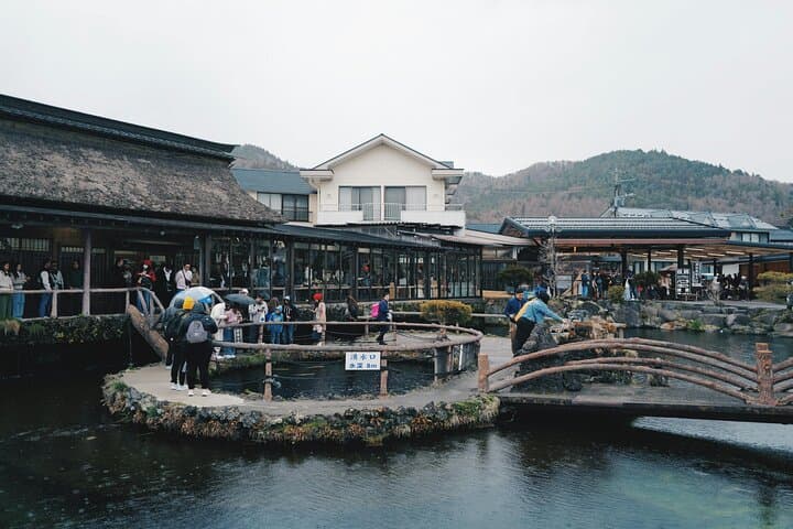 Private Mt. Fuji & Hakone Day Tour – Scenic Views & Hot Springs — photo 8