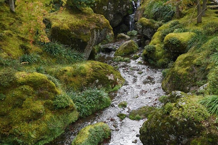 Private Mt. Fuji & Hakone Day Tour – Scenic Views & Hot Springs — photo 11