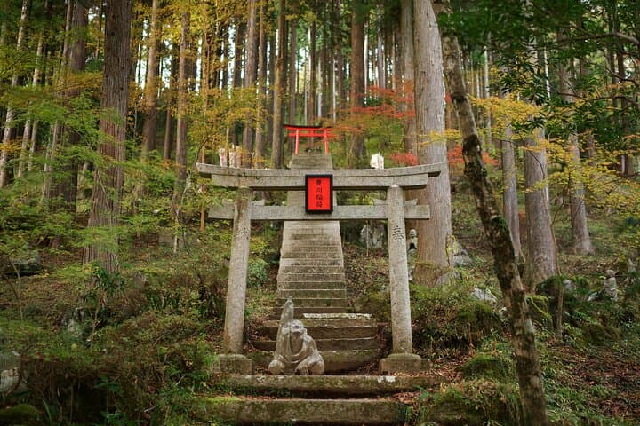 Private Mt. Fuji & Hakone Day Tour – Scenic Views & Hot Springs — photo 12