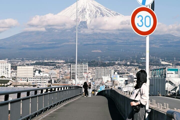 Private Mt. Fuji & Hakone Day Tour – Scenic Views & Hot Springs — photo 18
