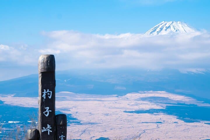 Private Mt. Fuji & Hakone Day Tour – Scenic Views & Hot Springs — photo 19