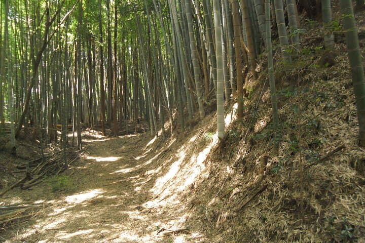 The Tour of the Warring States Period and History in Tokyo Tama — photo 15