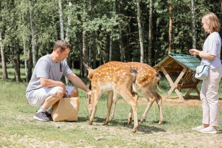 Nara Personalized Half Day Tour with a Local Guide — photo 3