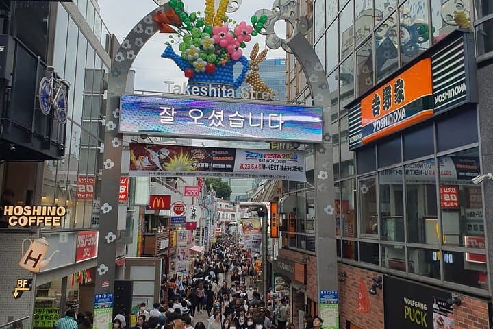 Private Tailored Tour with Local Guide in Tokyo — photo 10