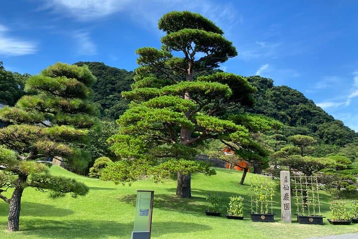 Kagoshima Highlights Private Tour, Sakurajima Volcano and more — photo 13