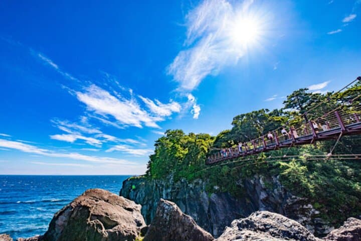 From Tokyo: Private Day Trip to Izu & Shimoda, Shizuoka — photo 4