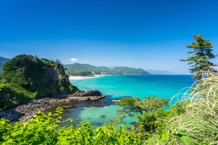 From Tokyo: Private Day Trip to Izu & Shimoda, Shizuoka — photo 1