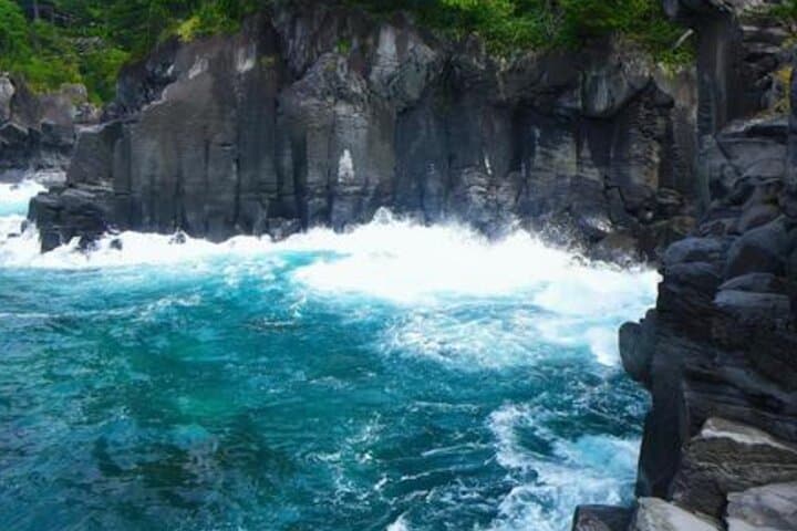 From Tokyo: Private Day Trip to Izu & Shimoda, Shizuoka — photo 6