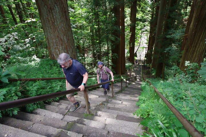 Togakushi: A Serene Walk Through Sacred Forests & Soba Traditions — photo 16