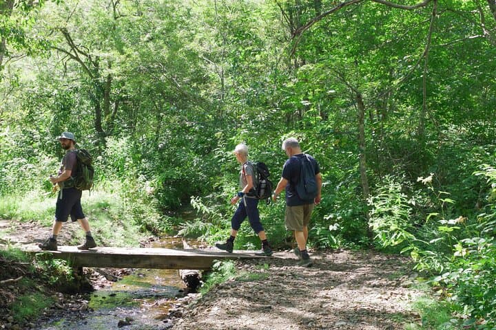 Togakushi: A Serene Walk Through Sacred Forests & Soba Traditions — photo 17