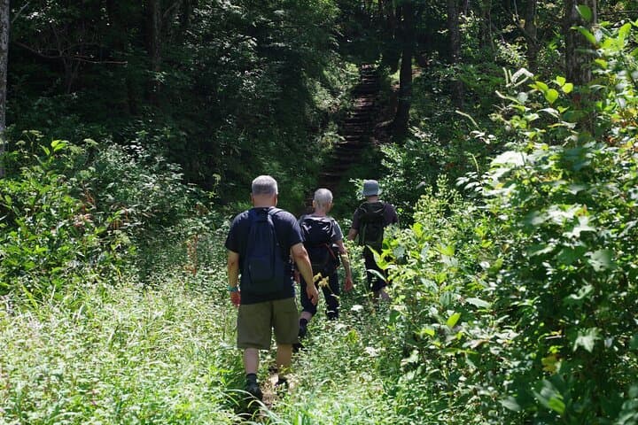 Togakushi: A Serene Walk Through Sacred Forests & Soba Traditions — photo 15