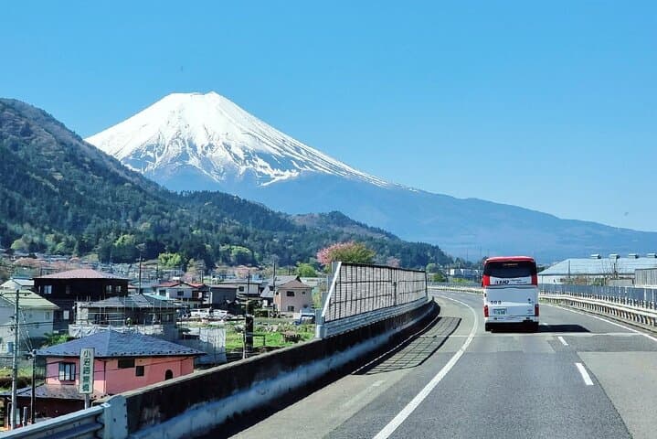 Mt. Fuji and Hakone Day Tour from Tokyo with Indian Lunch — photo 2