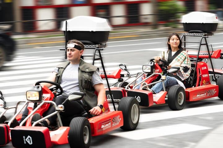 Akihabara: Go-Kart Experience with Local Guide in Tokyo — photo 8