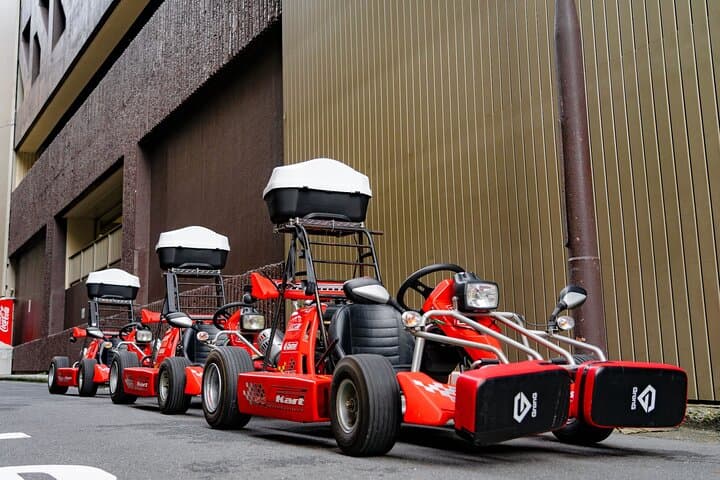Akihabara: Go-Kart Experience with Local Guide in Tokyo — photo 11