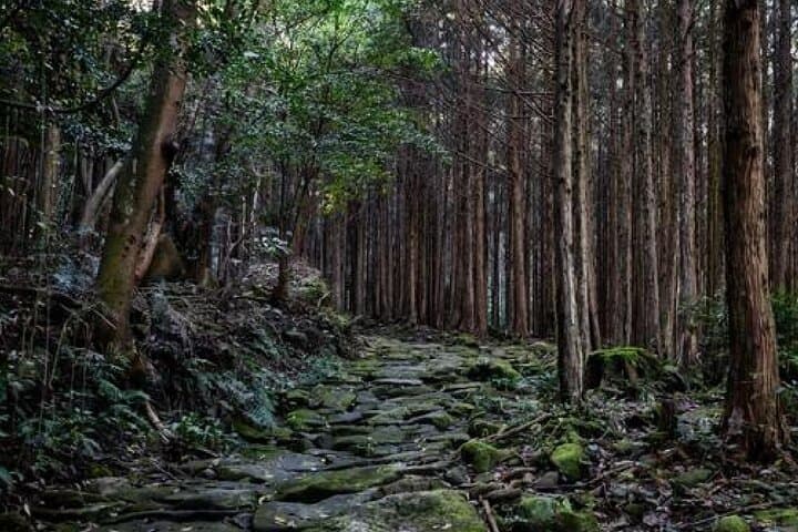 Kumano Kodo Private Guided Tour from Kumano Hongu Taisha — photo 2