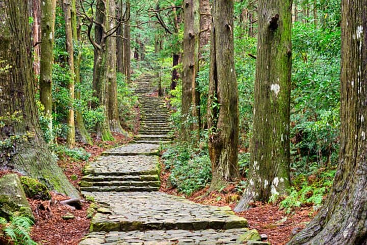 Kumano Kodo Private Guided Tour from Kumano Hongu Taisha — photo 3