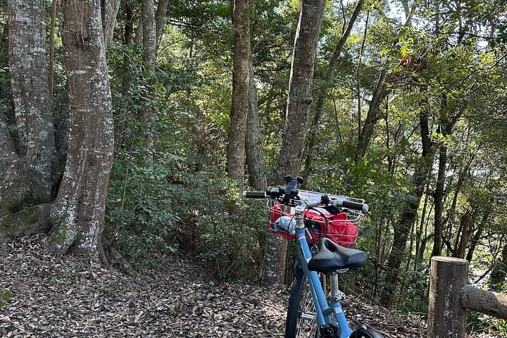 Kyoto Satoyama Cycling with Lunch and English Guide — photo 13