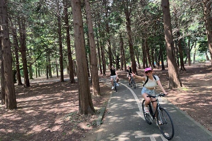 3-Hr Tokyo Bike Tour: Shibuya Highlights, Backstreets/Hidden Gems — photo 17