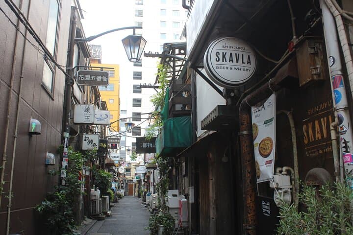 Cultural Private Walking Tour of Shinjuku from Shinjuku — photo 11