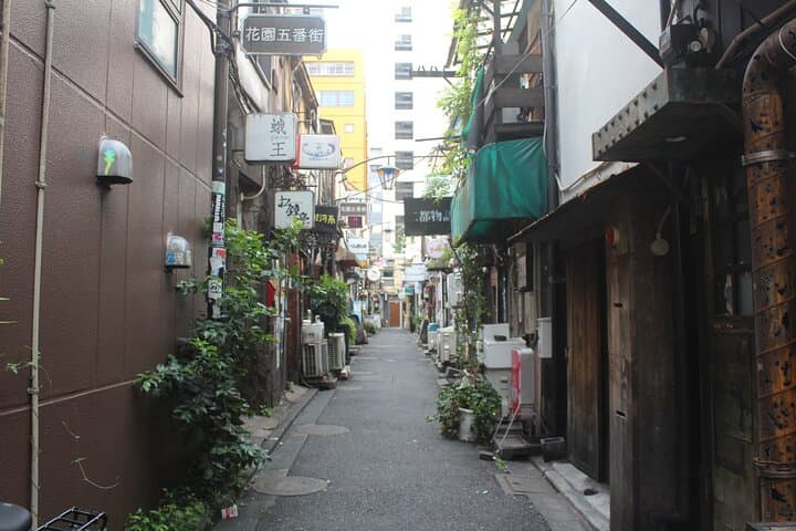 Cultural Private Walking Tour of Shinjuku from Shinjuku — photo 12