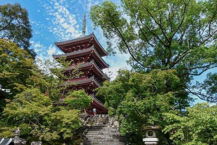 Yamaguchi Private Customizable Half Day Tour — photo 2