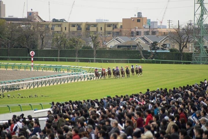 Horse Racing Tour with Local Fans in Nakayama Racecourse — photo 3