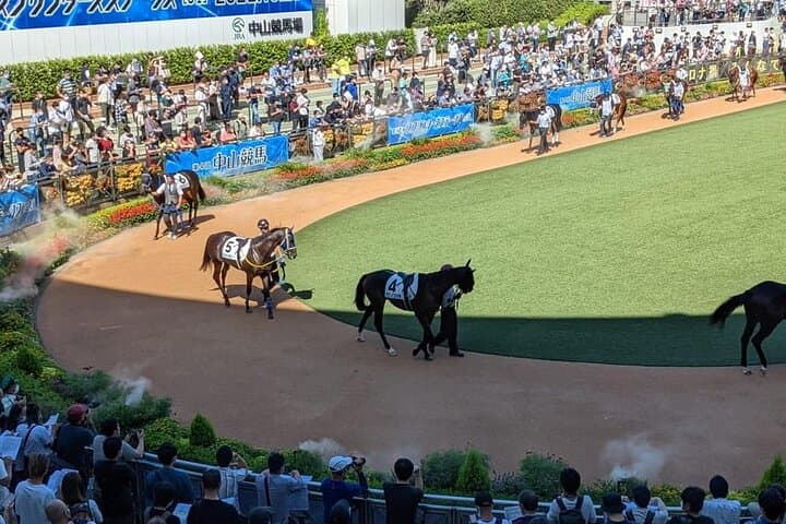 Horse Racing Tour with Local Fans in Tokyo Racecourse — photo 20