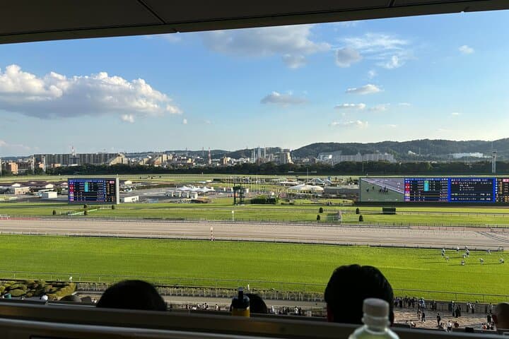 Horse Racing Tour with Local Fans in Tokyo Racecourse — photo 19