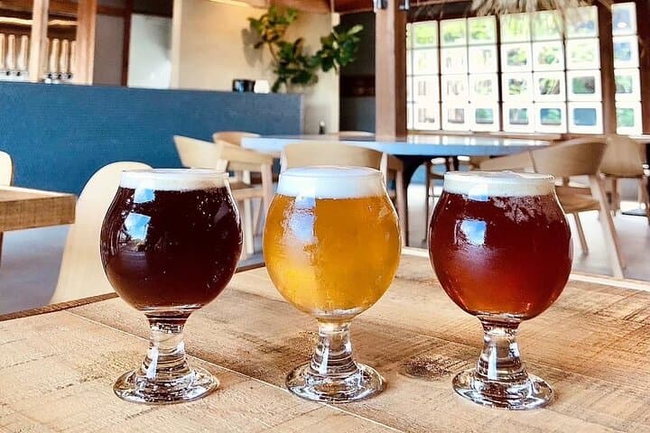 Guiged Brewing Tour and Workshop Local Lunch — photo 3