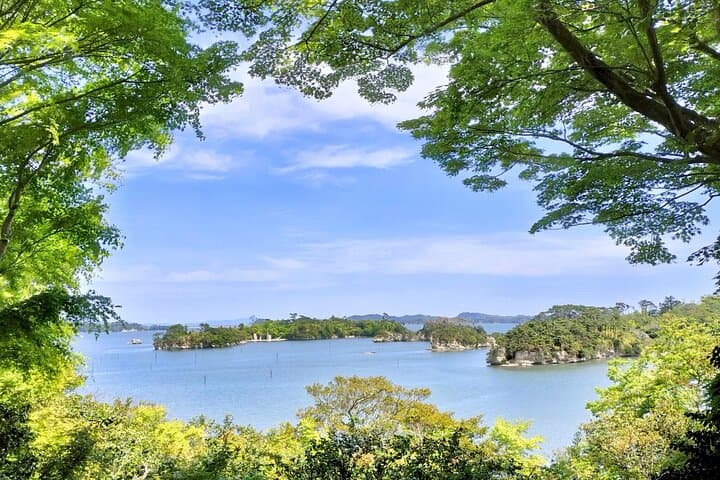 Matsushima Sightseeing Tour with Guided Tour — photo 5
