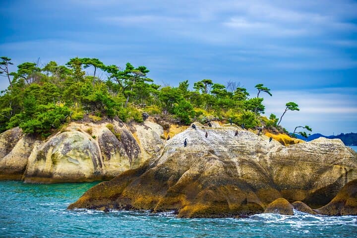Matsushima Sightseeing Tour with Guided Tour — photo 11