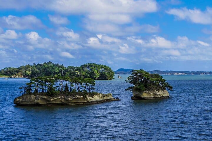 Matsushima Sightseeing Tour with Guided Tour — photo 16