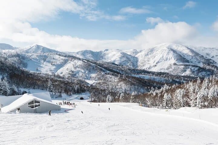 Kiroro Resort 6 Hrs Lift Pass and Round Trip Shuttle from Sapporo — photo 9